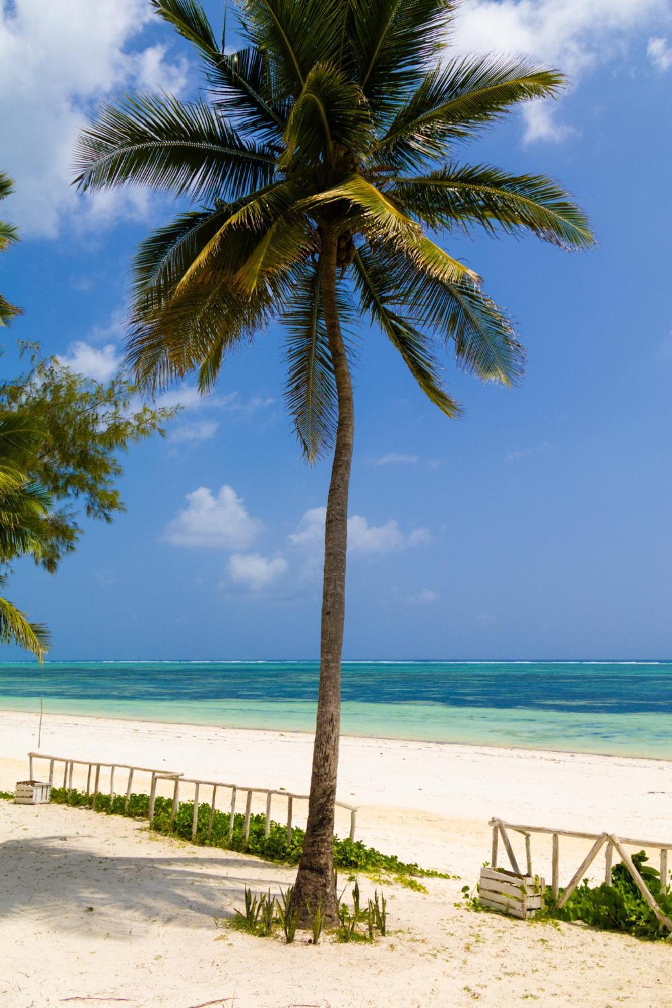 Pili Pili Orient Beach Resort Bwejuu Exterior foto